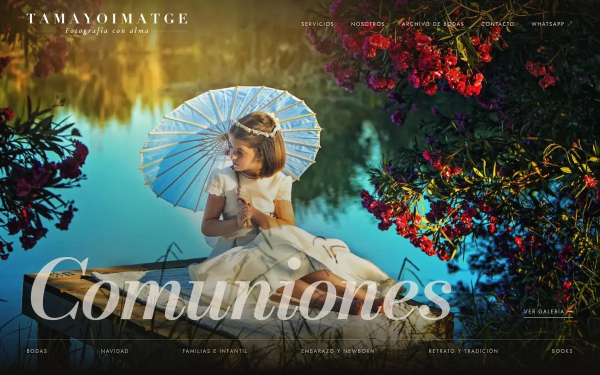 Portada del rediseño de Tamayoimatge